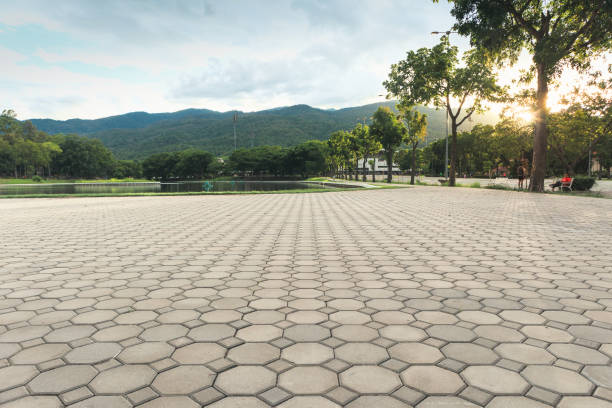 Best Driveway Pavers Near Me  in Eden, TX