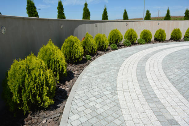 Best Local Driveway Pavers  in Eden, TX